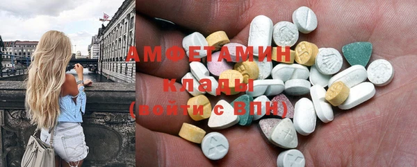 прущие грибы Абинск