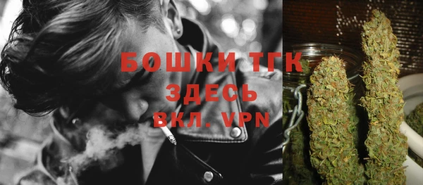 бошки Алексин