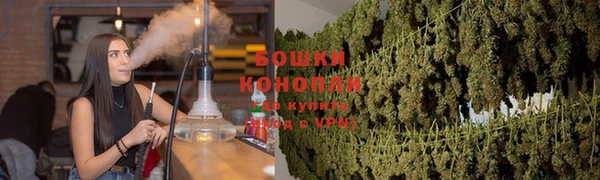 ПСИЛОЦИБИНОВЫЕ ГРИБЫ Алзамай