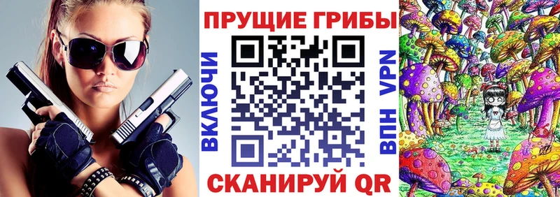 KRAKEN ССЫЛКА  наркотики  Тулун  Псилоцибиновые грибы MAGIC MUSHROOMS 